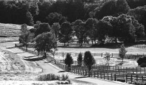 Horse Farm by John Gribbin