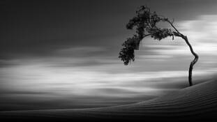 Adagio by Kevin Kwok