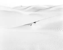 Dune Impressions 2 by Lane Wilson