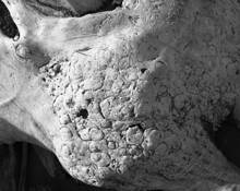 Underneath by Lani Doely