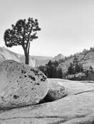Half Dome From Olmsted Point by Jeff Ross