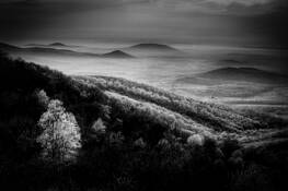 Valley by Jeffrey Logesky