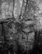 Untitled 2 by Jeffrey Suchak