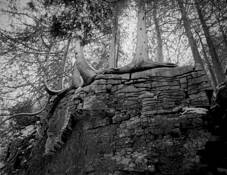 Untitled 3 by Jeffrey Suchak