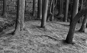 Quiet Corner by Jim Kelly