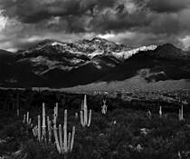 View of Catalina Mountains From Saguaro National Park by Gregory Cranwell