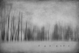 The Magnificent Seven by Igor Svibilsky