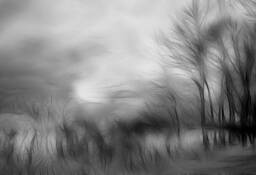 Riverhead Trees by Jan Altes