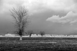 Comparison by Jane E. Kim