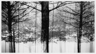 Late Winter - Early Spring by Dyana Walker