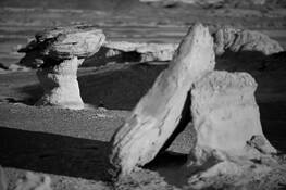 Still Standing After All These Years by David Forehand