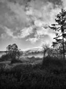 The Meadow by David R. Kosiur