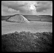 Breast by Dennis Hodges