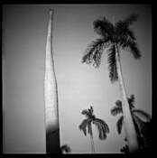 The Tall Bald One by Dennis Hodges