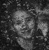 Kayla by Peter Charles LaBrosse