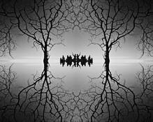 Dream by Wajid Drabu