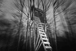 Hunter Games by Yves Keroack