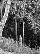 Country 7 by Carlos Abraham Slim