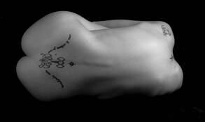 Bosy Scape 2 by Toni Wallachy