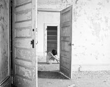 Through the Door One Morning by Toni Wallachy