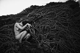 Transfiguration by Pak Han