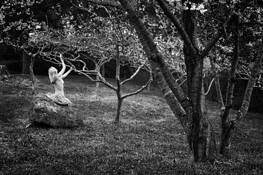 Allegory by Karen Rozbicki Stringer