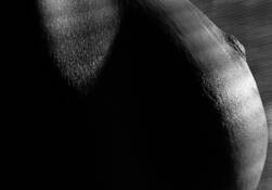 Detail 46 by Dennis Hodges