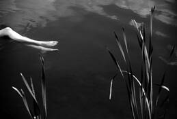 Floating by Elizabeth Siegfried