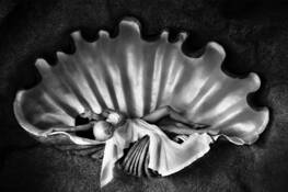 Pearl Goddess by Gray Hawn