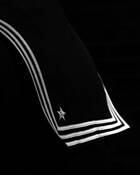 Star and Stripes by Alan Sandler