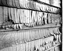 Cracked by Alan Wood