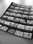 Old School Photography by Alan Wood