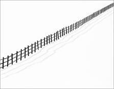 Snow Fence by Allen Thornton