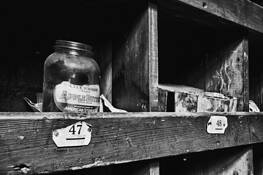 Spice Added by Anna Capaldi