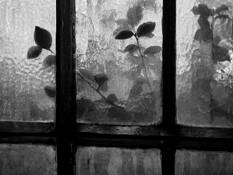 Church Window by Tom Green