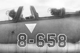 8-658 by Toni Wallachy