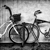 Conversation by Wajid Drabu