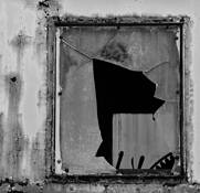 Apparatus by Steve Ryf