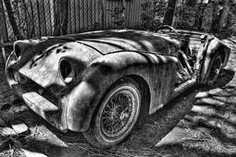 Triumph TR3 by Steve Siegel