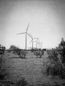 Panhandle Turbines by Steven Reeves