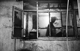 Tashi Restaurant by Anne Tapler White