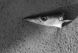 The Turning Point by Christer Nexmark