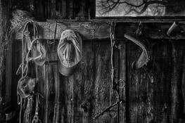 Winter Sun by Daniel Ruf