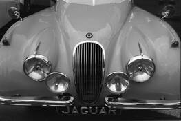 Classic Jag by John D. Wilkins