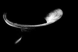 Curvature by Marcus Z.