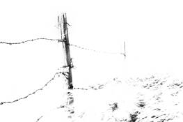 Infinite Restiction by Marcus Z.