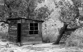 Untitled by Stefini Borcoman