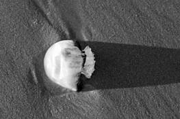 Washed 2 by Silas Toney