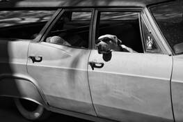 Shades by Robin Ward