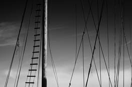 To the Heavens by Robin Ward